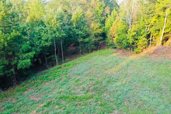 Lot 33 Woodgate Shores Dr: Lot 33 Woodgate Shores Dr, Wedowee, AL 36278
